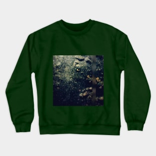 Cucurbita pepo, 'Knuckle Head' Crewneck Sweatshirt